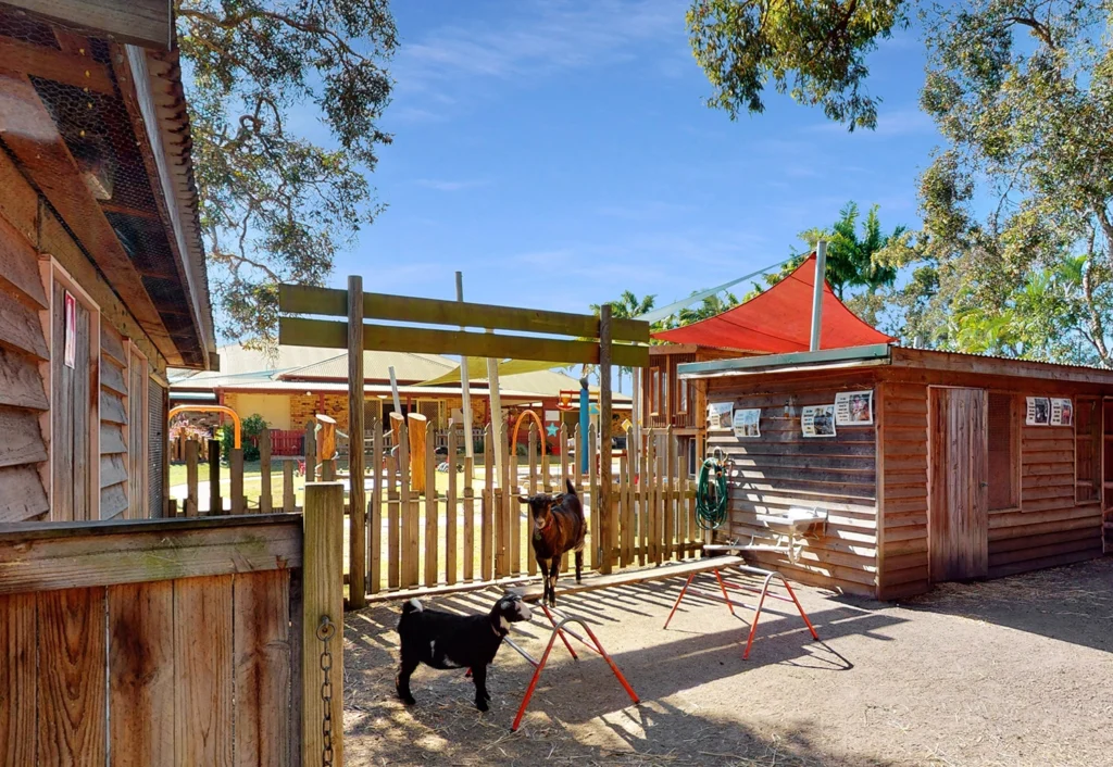 A fenced barnyard area featuring two pet goats at Busy Bees childcare in Hervey Bay.