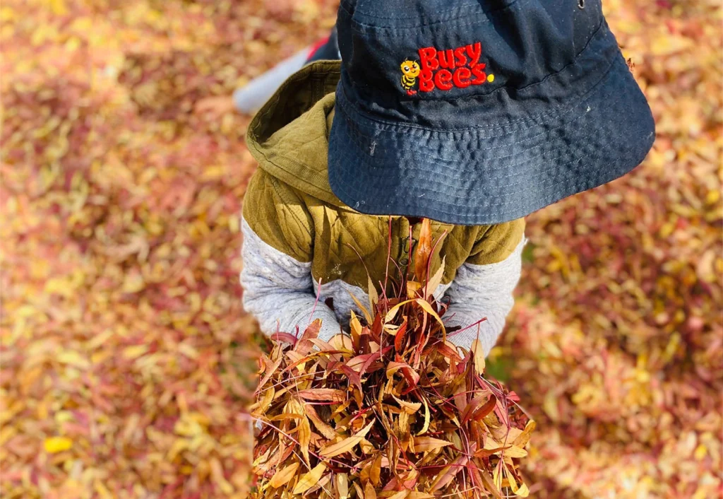 A child wearing a "Busy Bees" hat, from the local preschool, holds a pile of autumn leaves. The ground is covered in fallen leaves.