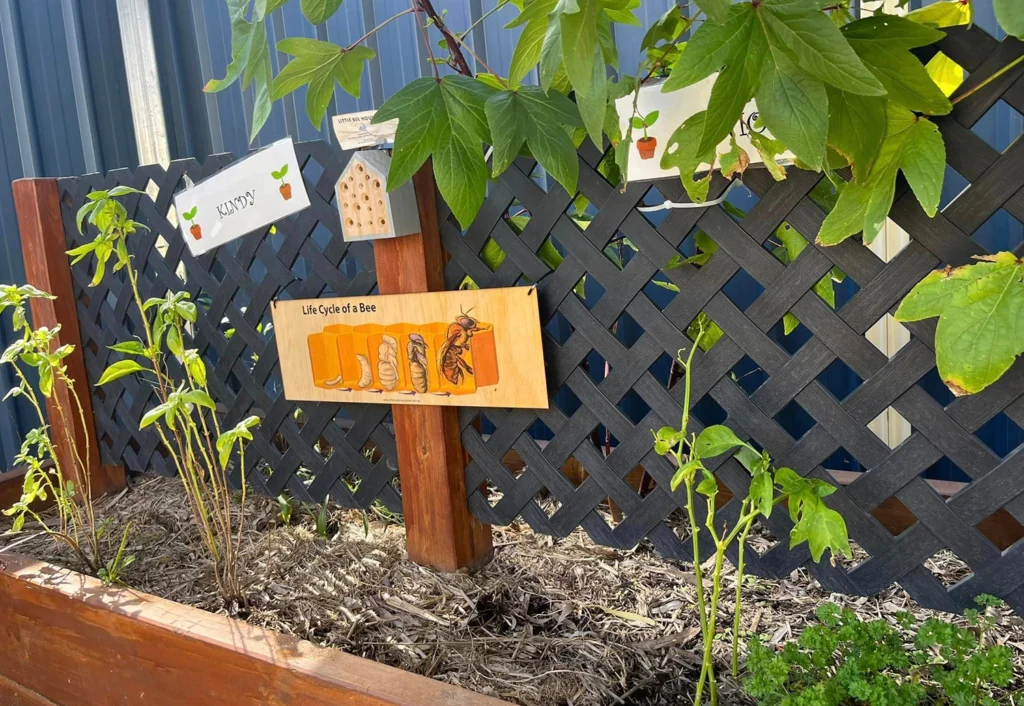 A garden bed at Chinchilla day care centre with various plants, a native bee hive and a bee education sign displaying the life cycle of a bee.