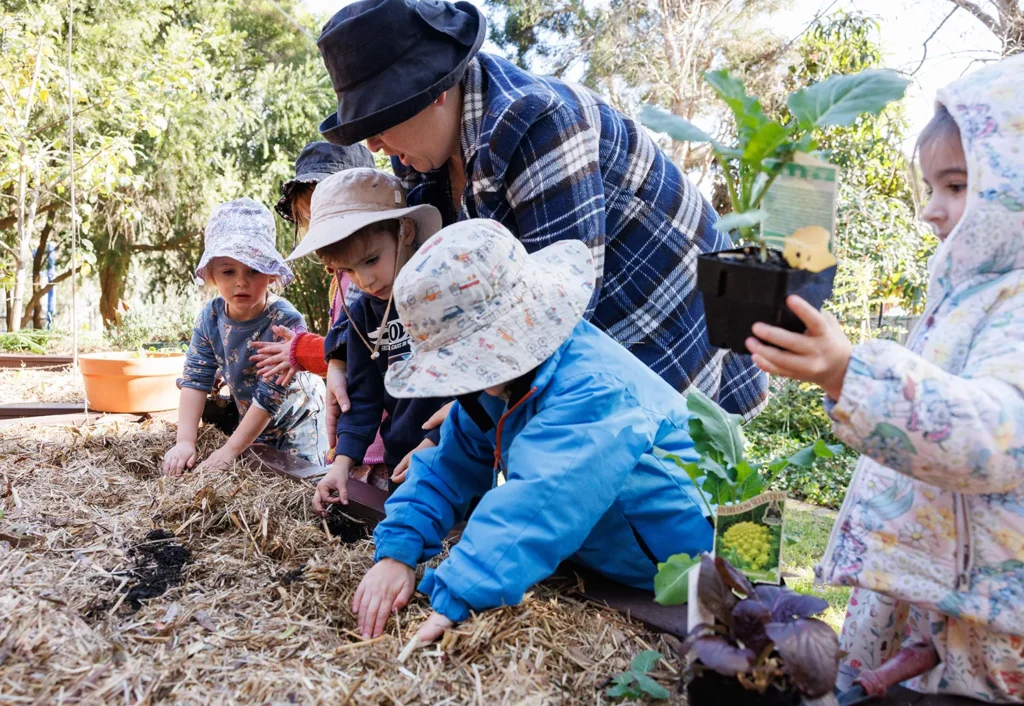 A group of children, accompanied by an adult, plant seeds and seedlings in a garden bed. All are wearing sun hats and jackets.