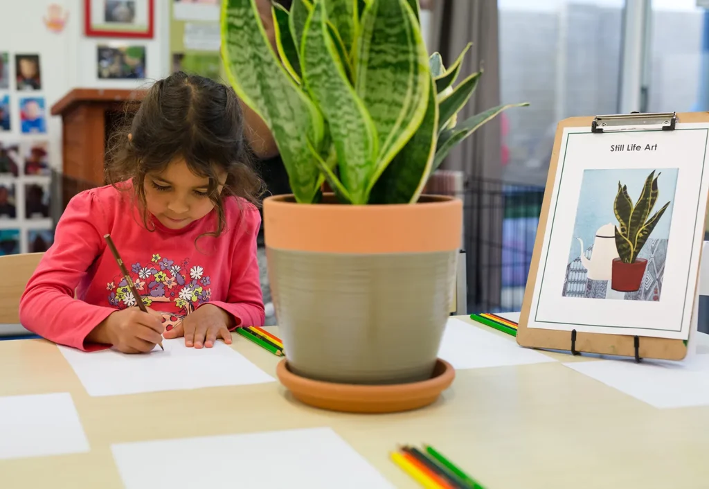 A preschool girl in a pink shirt draws at a table with a potted plant and colored pencils. An easel nearby displays a still life art picture of the same plant.