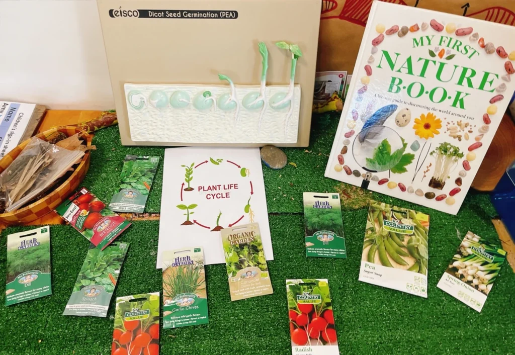 An educational display on plant life cycles featuring seed packets, a diagram, a germination model, and a book titled "My First Nature Book.