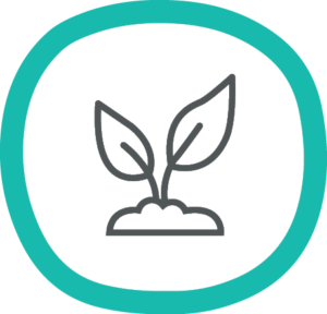 Plant growing icon