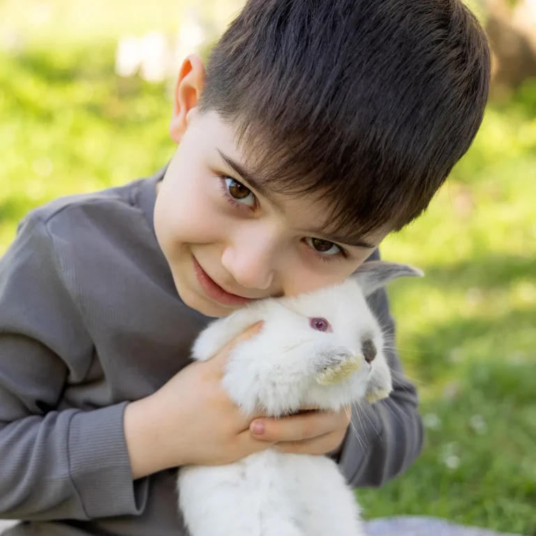 A young child in a gray shirt holds a white rabbit close while outdoors at preschool on a sunny day. The background is grassy and slightly blurred.