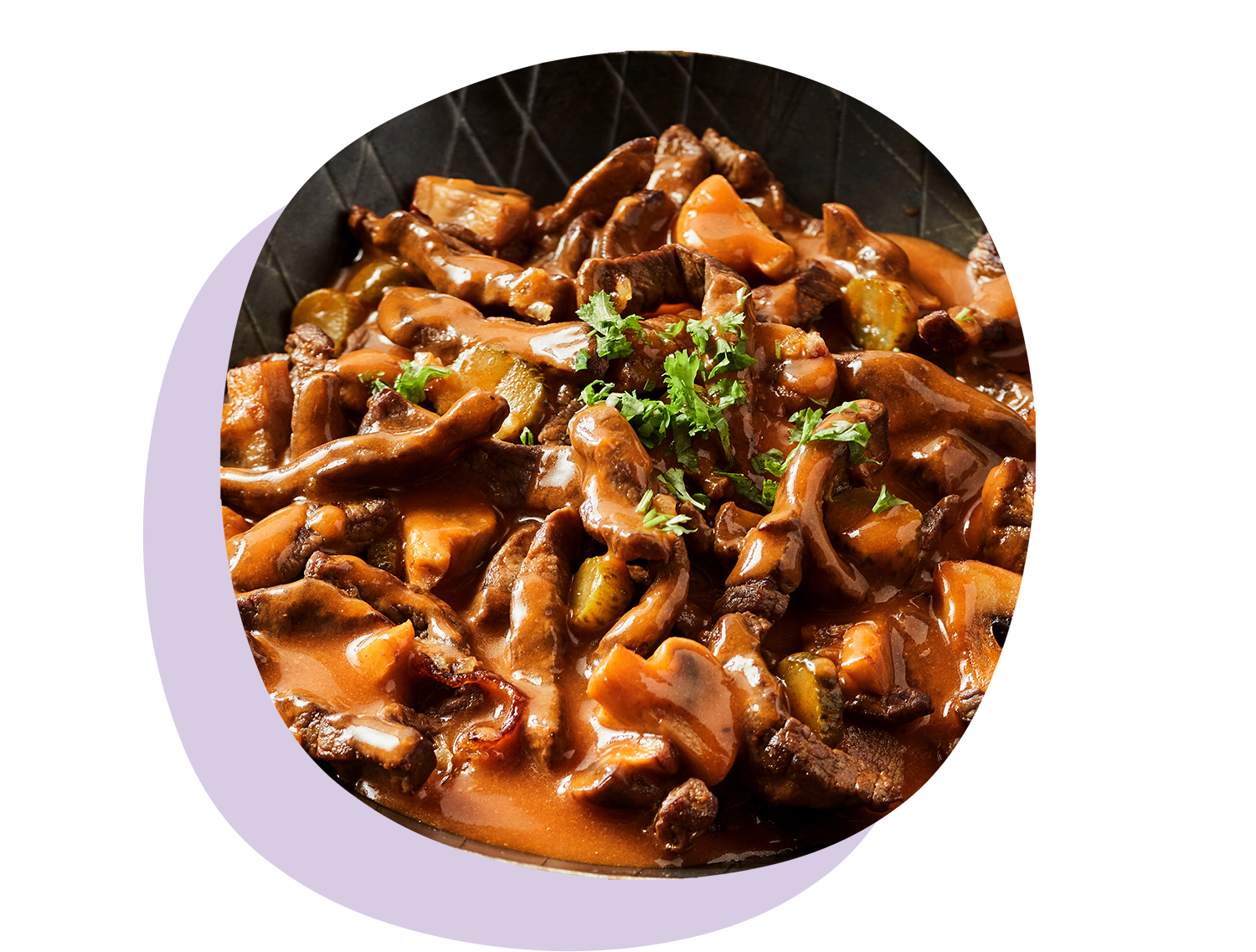 Beef Stroganoff for Kids